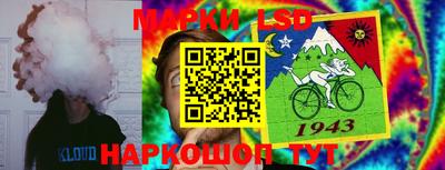 молекула духа Краснодар