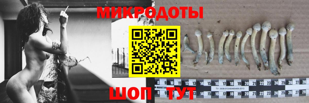 Ульяновск  Псилоцибиновые грибы Cubensis  Вход с VPN 